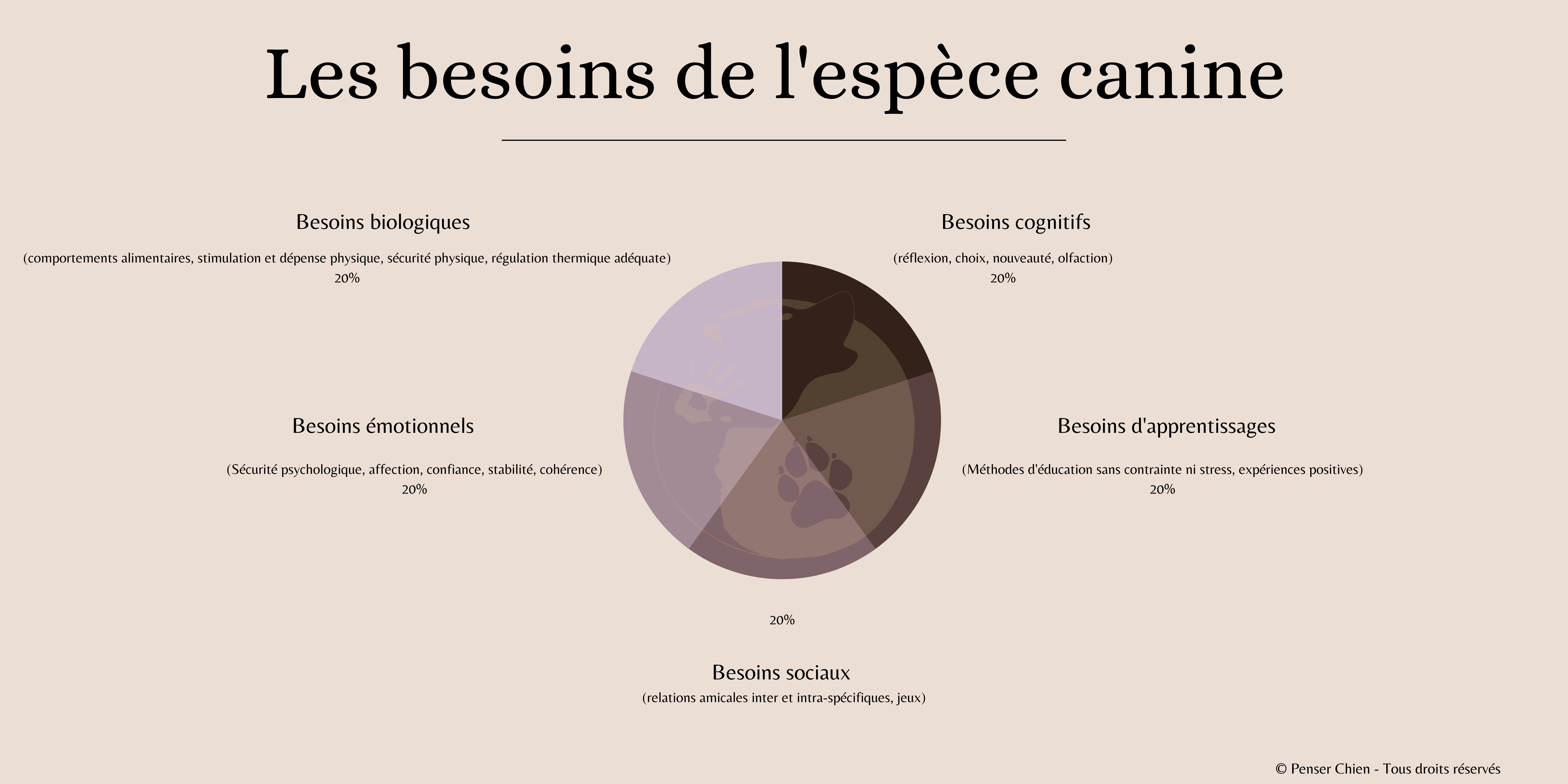 graph besoins