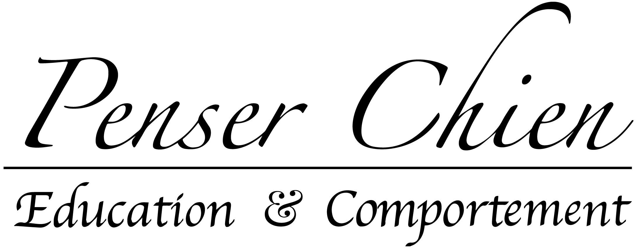 logo_camille_noir
